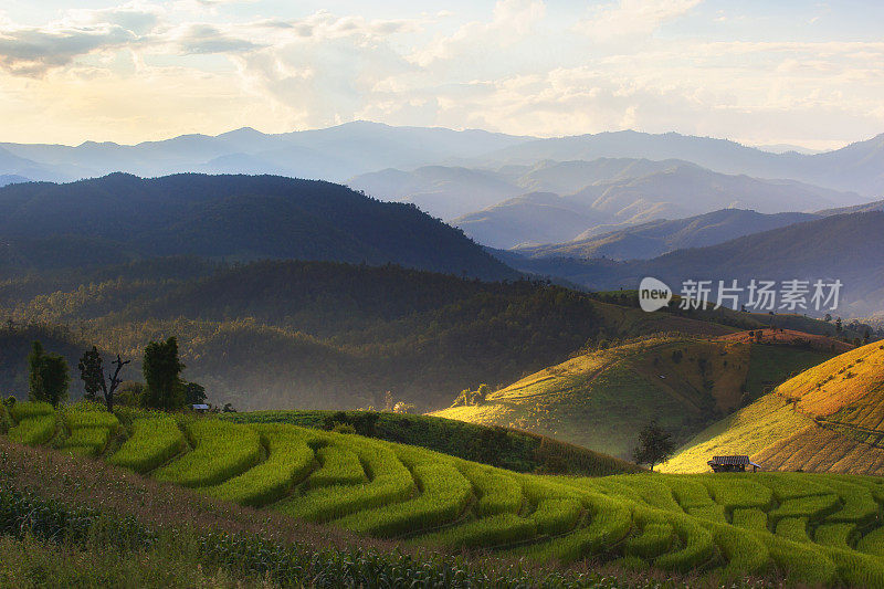 泰国清迈Pa Pong Piang山山谷乡村地区的水稻梯田。